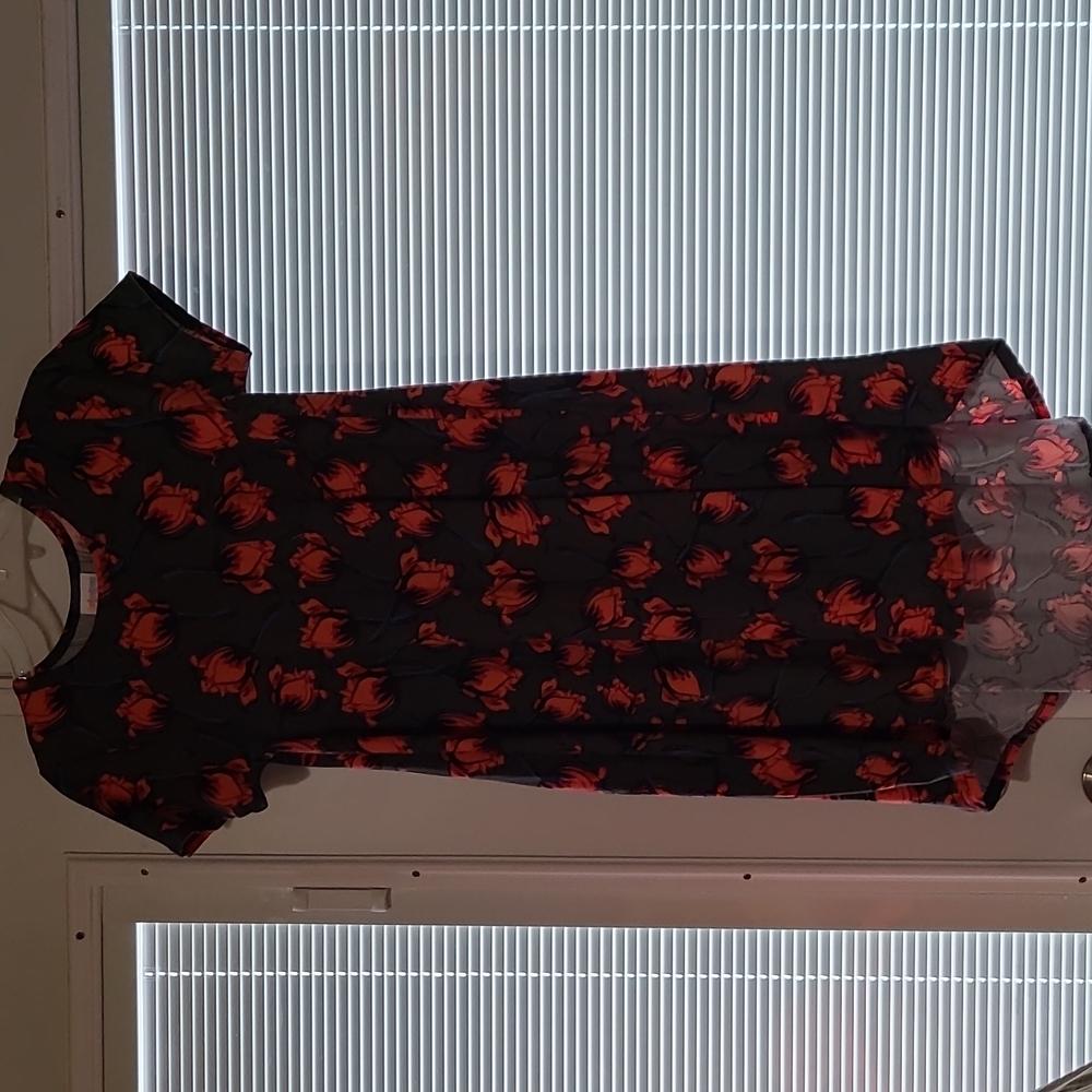 Two Lularoe Julia Dresses